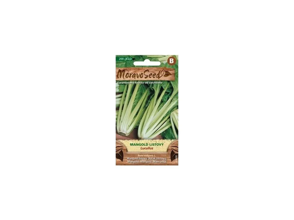 Zlevněný Mangold Lucullus - MORAVOSEED