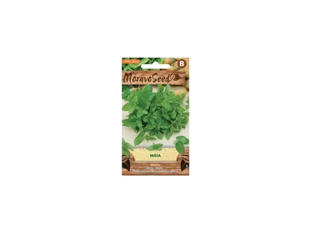 Máta peprná - MORAVOSEED Víkendová Akce