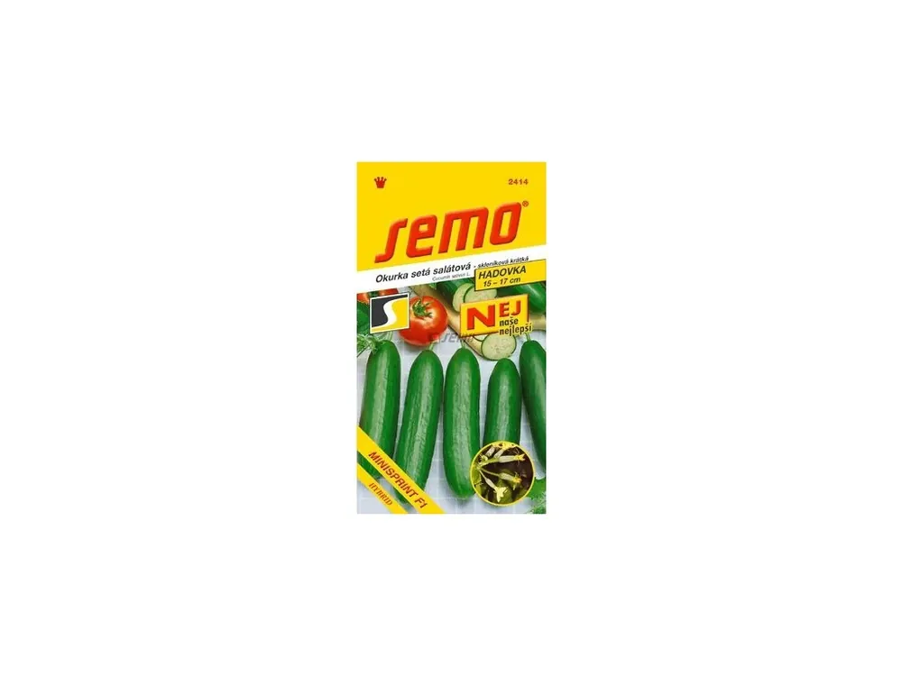 Okurka skleníková - Minisprint F1 10s - série NEJ Koupit Online