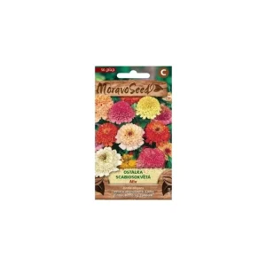 Akce Ostálka Scabiosokvětá Mix - MORAVOSEED