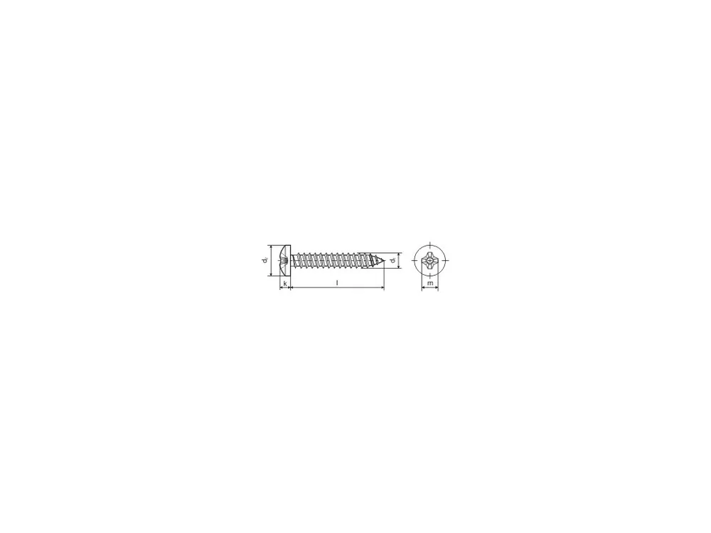 Šroub 5,5x 25mm Zn PH DIN 7981-C 100ks (odběr bal. 500ks) Autentický