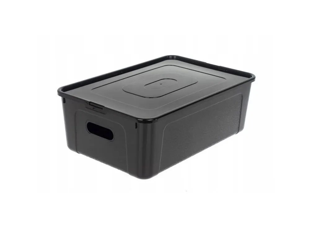 Kup Teď Box úložný MULTIBOX KOLOR průhmaty 34x20x10cm 5L, mix barev