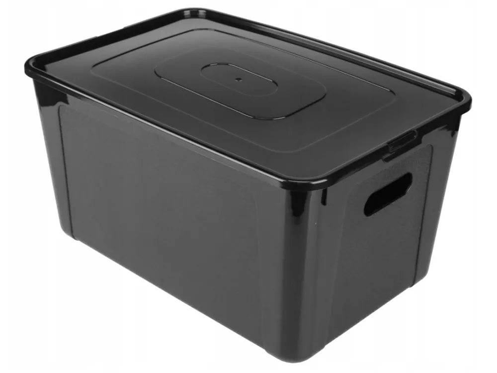 Box úložný MULTIBOX KOLOR průhmaty 39x26x20,5cm 17L, mix barev Kup Teď