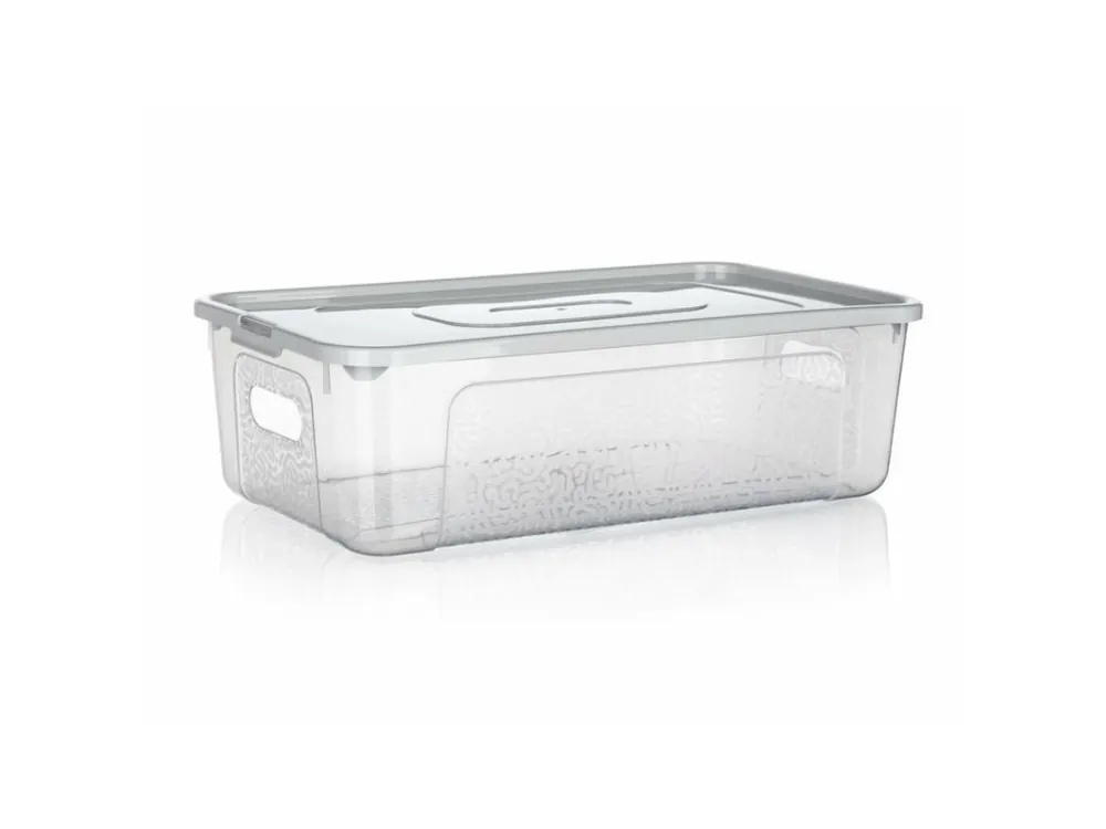 Cenově Výhodný Box úložný MULTIBOX průhmaty 34x20x10cm 5L čirý