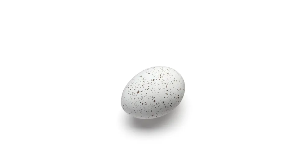 Sleva Dekoratívne vajíčka Cooee White - set 2 ks