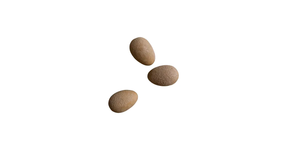 Koupit Online Dekoračné vajíčka Deco Egg Sand - sada 3 ks