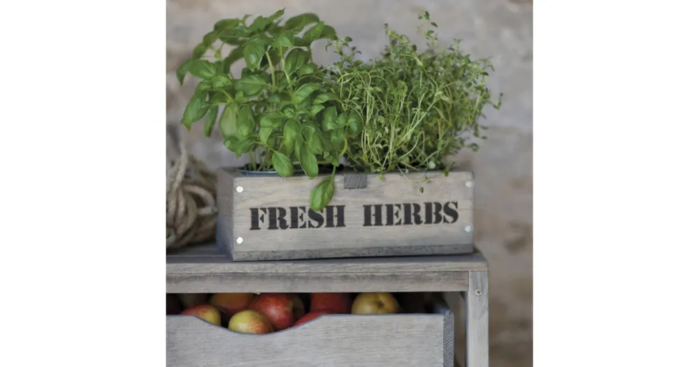 Akční Cena Drevená debnička s kvetináčmi Fresh Herbs