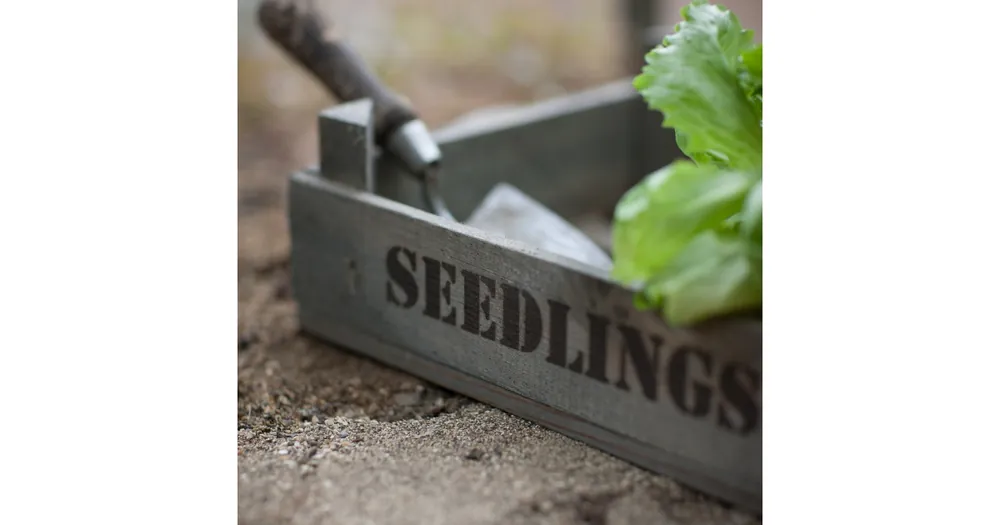 Dřevěná bedýnka Seedlings Expresní Doručení