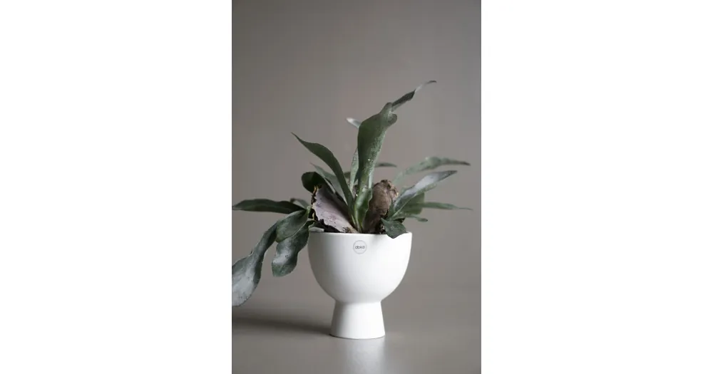 Kvetináč Figure White 15 cm Nízká Cena