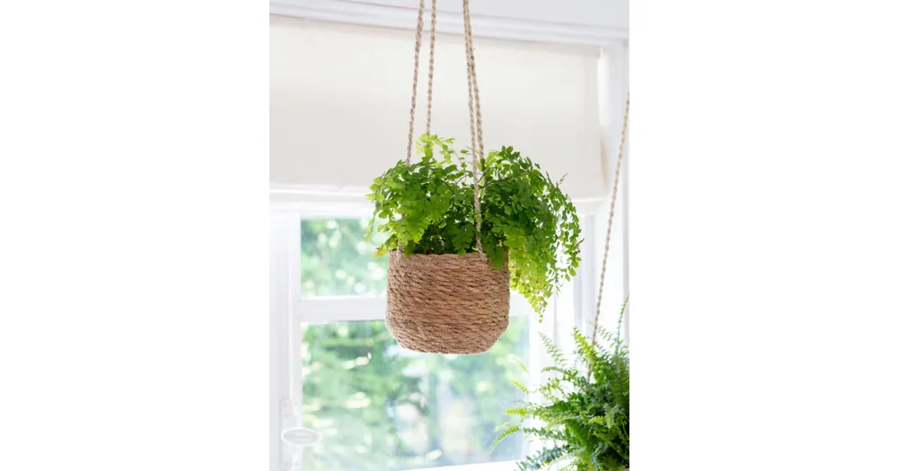 Novinka Závěsný květináč Woven Seagrass 16 cm