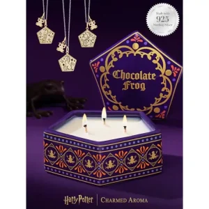 Vysoce Kvalitní Vonná svíčka Harry Potter Chocolate Frog, Čokoládová žába, s kartami a náhrdelníkem