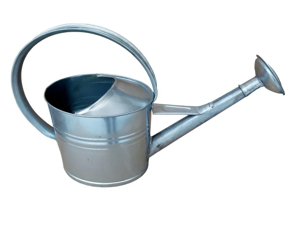 Speciální Cena Konev pozinkovaná s růžicí 10l