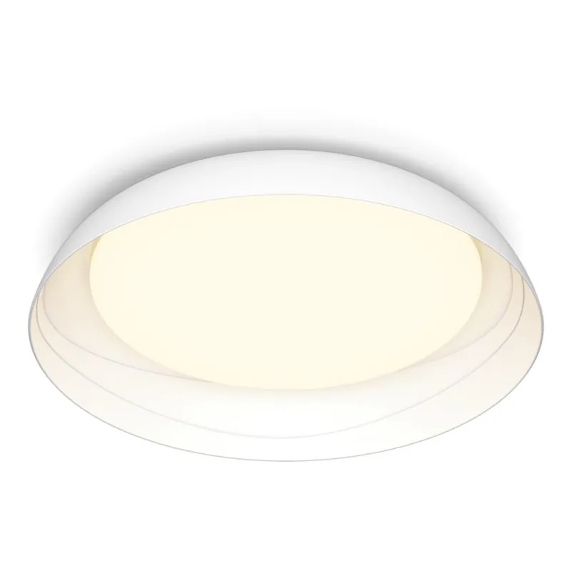Pouze Dnes Philips - LED Stmívatelné stropní svítidlo FLETA SCENE SWITCH LED/10W/230V 2700K bílá