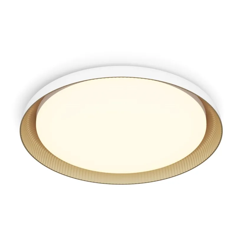 Vysoce Kvalitní Philips - LED Stmívatelné stropní svítidlo PEBBLO SCENE SWITCH LED/10W/230V 2700K bílá