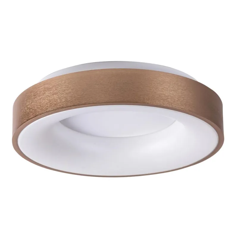 Rabalux - LED Stropní svítidlo CARMELA LED/50W/230V pr. 60 cm Oblíbený