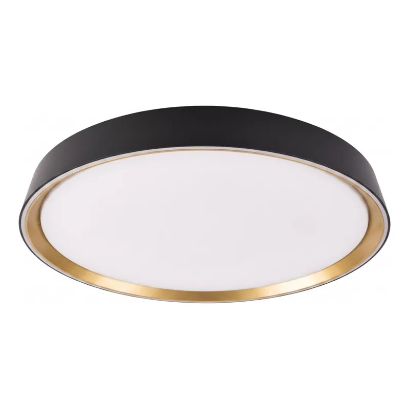 Top Prodej LED Stmívatelné stropní svítidlo ILVI LED/45W/230V 2700-6500K pr. 50 cm černá/béžová + dálkové ovládání