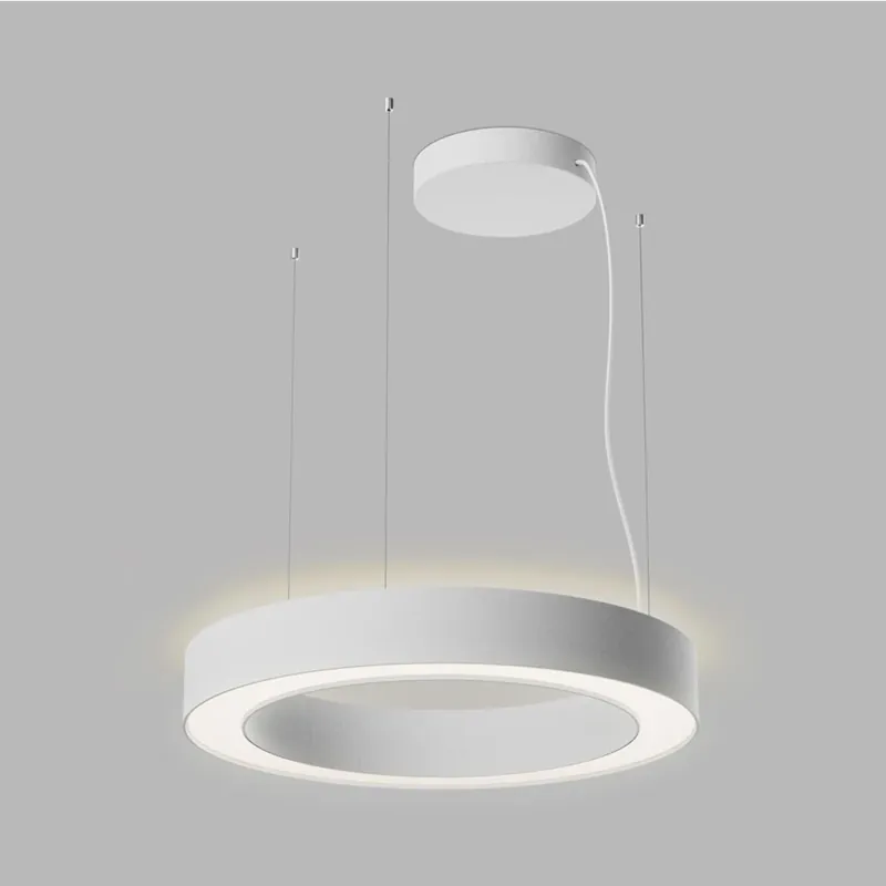 Speciální Cena LED2 Saturn Slim 2 P/N-Z 60, závěsné kruhové svítidlo, 40+20W LED 2700K/3000K/4000K, DALI/PUSH, bílé, prům. 60cm